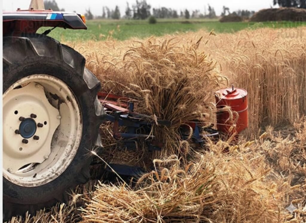 تربيط حصادة